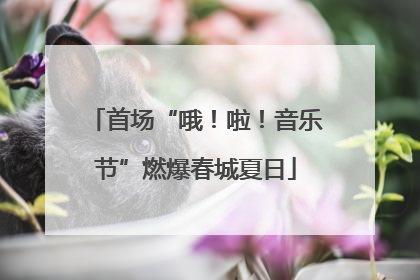 首场“哦！啦！音乐节”燃爆春城夏日