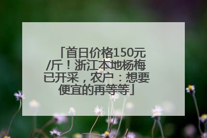 首日价格150元/斤！浙江本地杨梅已开采，农户：想要便宜的再等等