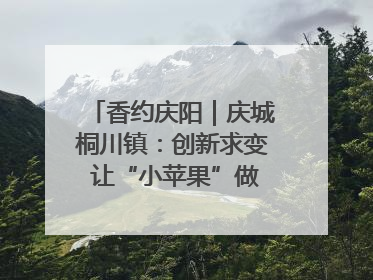 香约庆阳｜庆城桐川镇：创新求变 让“小苹果”做成“大产业”