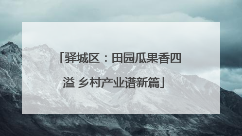 驿城区：田园瓜果香四溢 乡村产业谱新篇