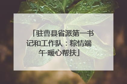 驻曹县省派第一书记和工作队：粽情端午·暖心帮扶