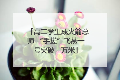 高二学生成火箭总师 “手搓”飞燕一号突破一万米