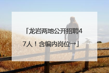 龙岩两地公开招聘47人！含编内岗位→