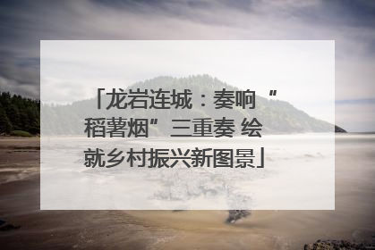 龙岩连城：奏响“稻薯烟”三重奏 绘就乡村振兴新图景