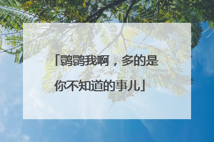 鹮鹮我啊，多的是你不知道的事儿