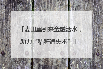麦田里引来金融活水，助力“秸秆消失术”