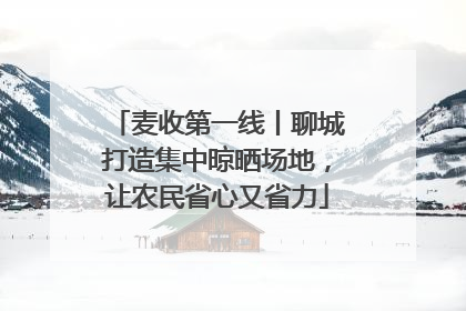 麦收第一线丨聊城打造集中晾晒场地，让农民省心又省力