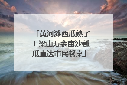 黄河滩西瓜熟了！梁山万余亩沙瓤瓜直达市民餐桌