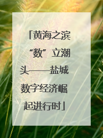 黄海之滨“数”立潮头——盐城数字经济崛起进行时