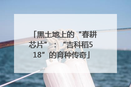 黑土地上的“春耕芯片”：“吉科稻518”的育种传奇