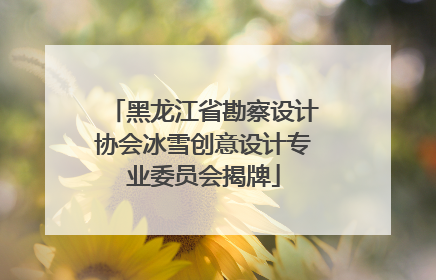 黑龙江省勘察设计协会冰雪创意设计专业委员会揭牌