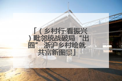 （乡村行·看振兴）毗邻统战破局“出圈” 浙沪乡村绘就共富新图景