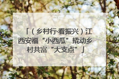 （乡村行·看振兴）江西安福“小西瓜”撬动乡村共富“大支点”