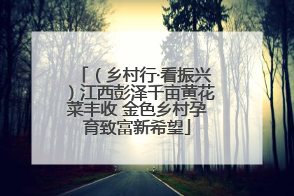 （乡村行·看振兴）江西彭泽千亩黄花菜丰收 金色乡村孕育致富新希望