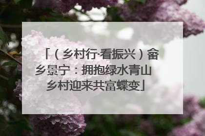 （乡村行·看振兴）畲乡景宁：拥抱绿水青山 乡村迎来共富蝶变