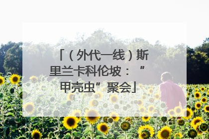 （外代一线）斯里兰卡科伦坡：“甲壳虫”聚会
