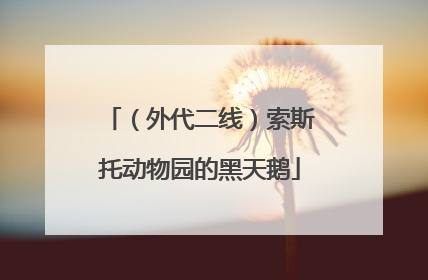 （外代二线）索斯托动物园的黑天鹅