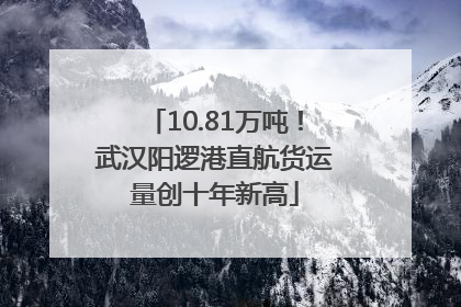 10.81万吨！武汉阳逻港直航货运量创十年新高