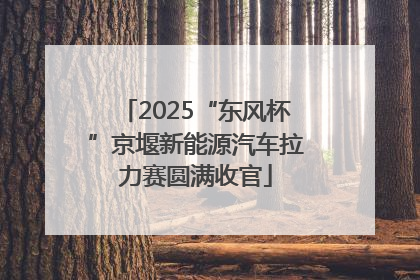 2025“东风杯”京堰新能源汽车拉力赛圆满收官