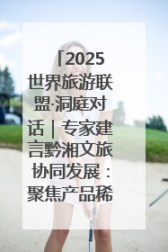 2025世界旅游联盟·洞庭对话｜专家建言黔湘文旅协同发展：聚焦产品稀缺性 深化区域经验共享