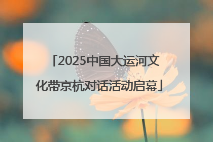 2025中国大运河文化带京杭对话活动启幕