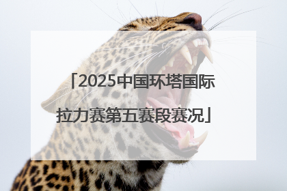 2025中国环塔国际拉力赛第五赛段赛况
