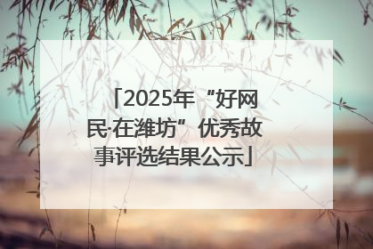 2025年“好网民·在潍坊”优秀故事评选结果公示