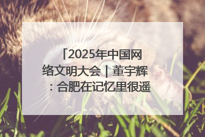 2025年中国网络文明大会｜董宇辉：合肥在记忆里很遥远也很亲切