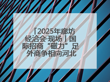 2025年廊坊经洽会·现场丨国际招商“磁力”足 外商争相向河北推介项目