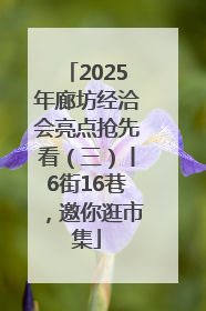 2025年廊坊经洽会亮点抢先看（三）丨6街16巷，邀你逛市集