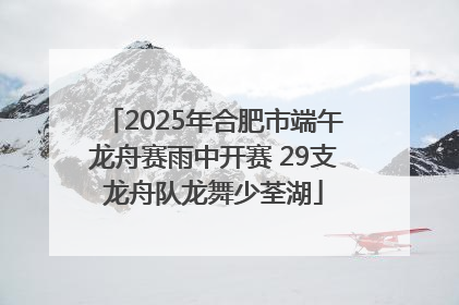 2025年合肥市端午龙舟赛雨中开赛 29支龙舟队龙舞少荃湖