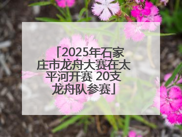 2025年石家庄市龙舟大赛在太平河开赛 20支龙舟队参赛