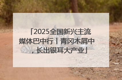 2025全国新兴主流媒体巴中行丨青冈木屑中，长出银耳大产业