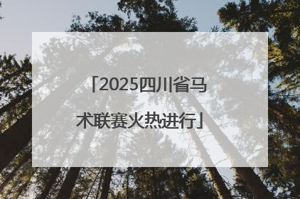 2025四川省马术联赛火热进行