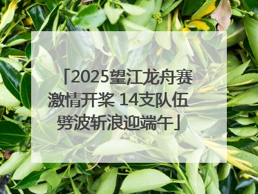 2025望江龙舟赛激情开桨 14支队伍劈波斩浪迎端午