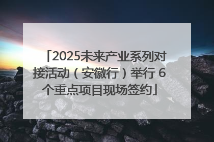 2025未来产业系列对接活动（安徽行）举行 6个重点项目现场签约