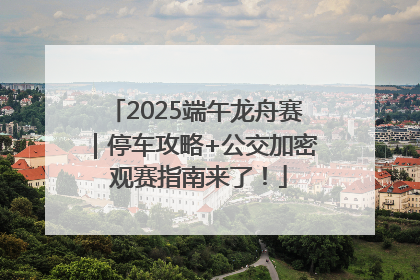 2025端午龙舟赛｜停车攻略+公交加密 观赛指南来了！