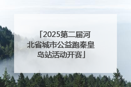 2025第二届河北省城市公益跑秦皇岛站活动开赛