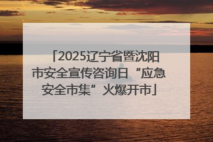 2025辽宁省暨沈阳市安全宣传咨询日“应急安全市集”火爆开市