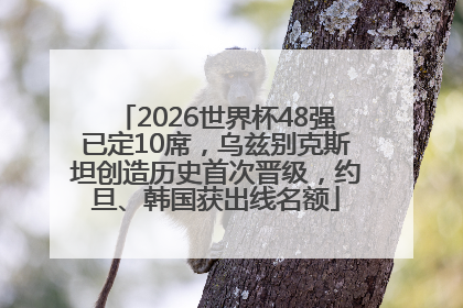 2026世界杯48强已定10席，乌兹别克斯坦创造历史首次晋级，约旦、韩国获出线名额