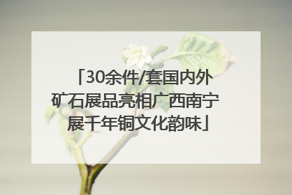 30余件/套国内外矿石展品亮相广西南宁 展千年铜文化韵味