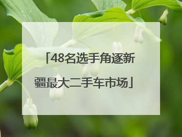 48名选手角逐新疆最大二手车市场