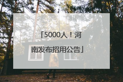 5000人！河南发布招用公告