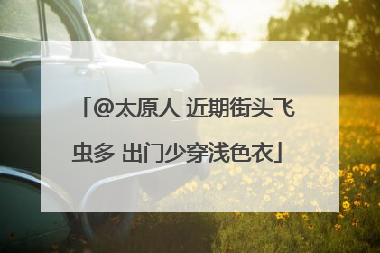 @太原人 近期街头飞虫多 出门少穿浅色衣