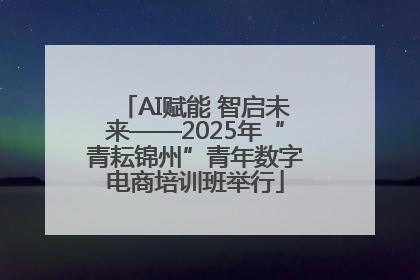 AI赋能 智启未来——2025年“青耘锦州”青年数字电商培训班举行
