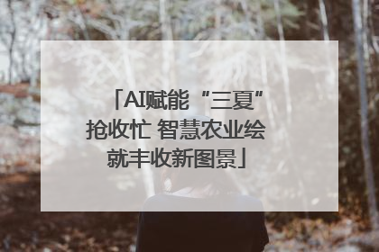 AI赋能“三夏”抢收忙 智慧农业绘就丰收新图景