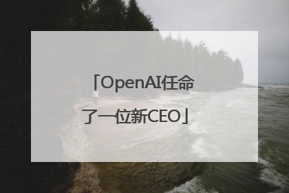 OpenAI任命了一位新CEO