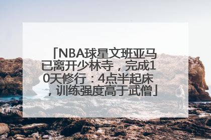 NBA球星文班亚马已离开少林寺，完成10天修行：4点半起床，训练强度高于武僧