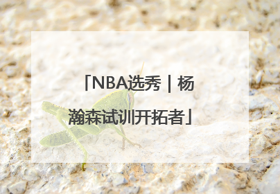 NBA选秀｜杨瀚森试训开拓者