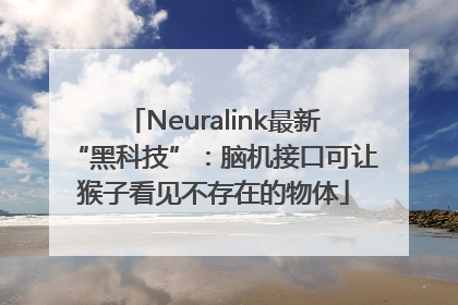 Neuralink最新“黑科技”：脑机接口可让猴子看见不存在的物体